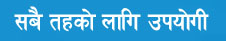 Section Officer
